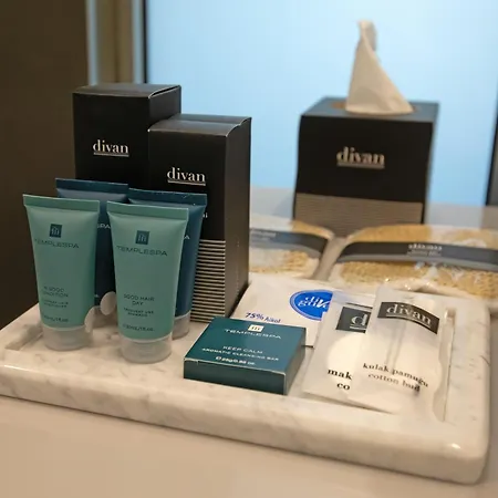 Divan Hotel