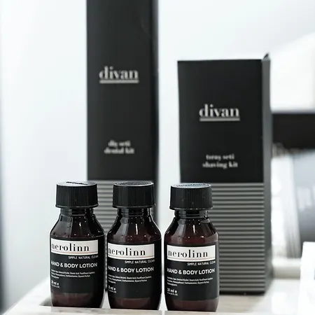 Divan Hotel 4*