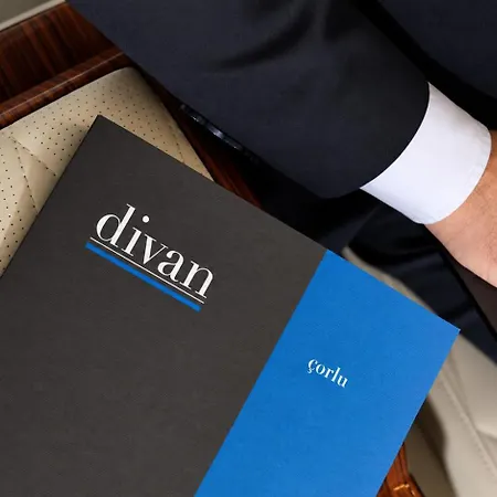 Hotel Divan 4*